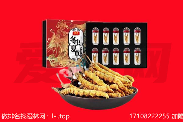 如皋市回收虫草.jpg